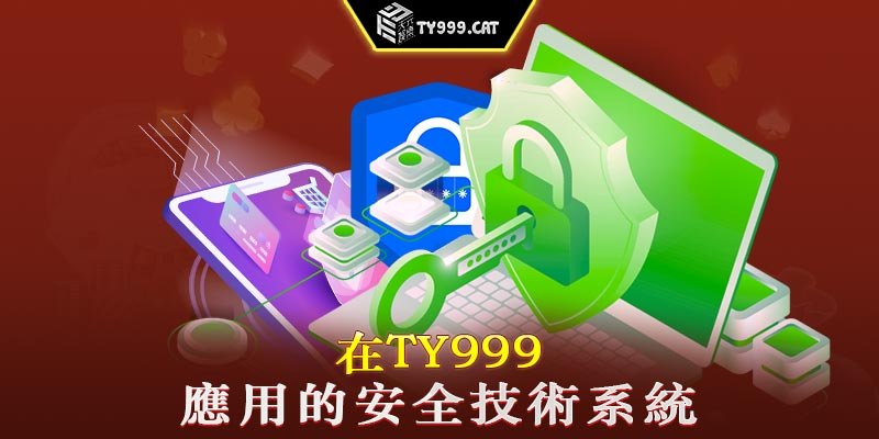 在TY999應用的安全技術系統